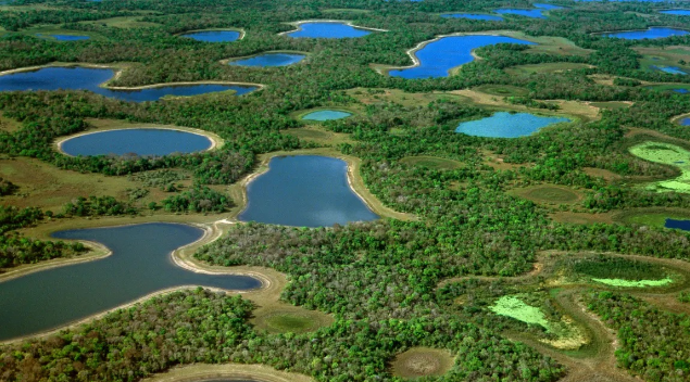 Brasil Pantanal
